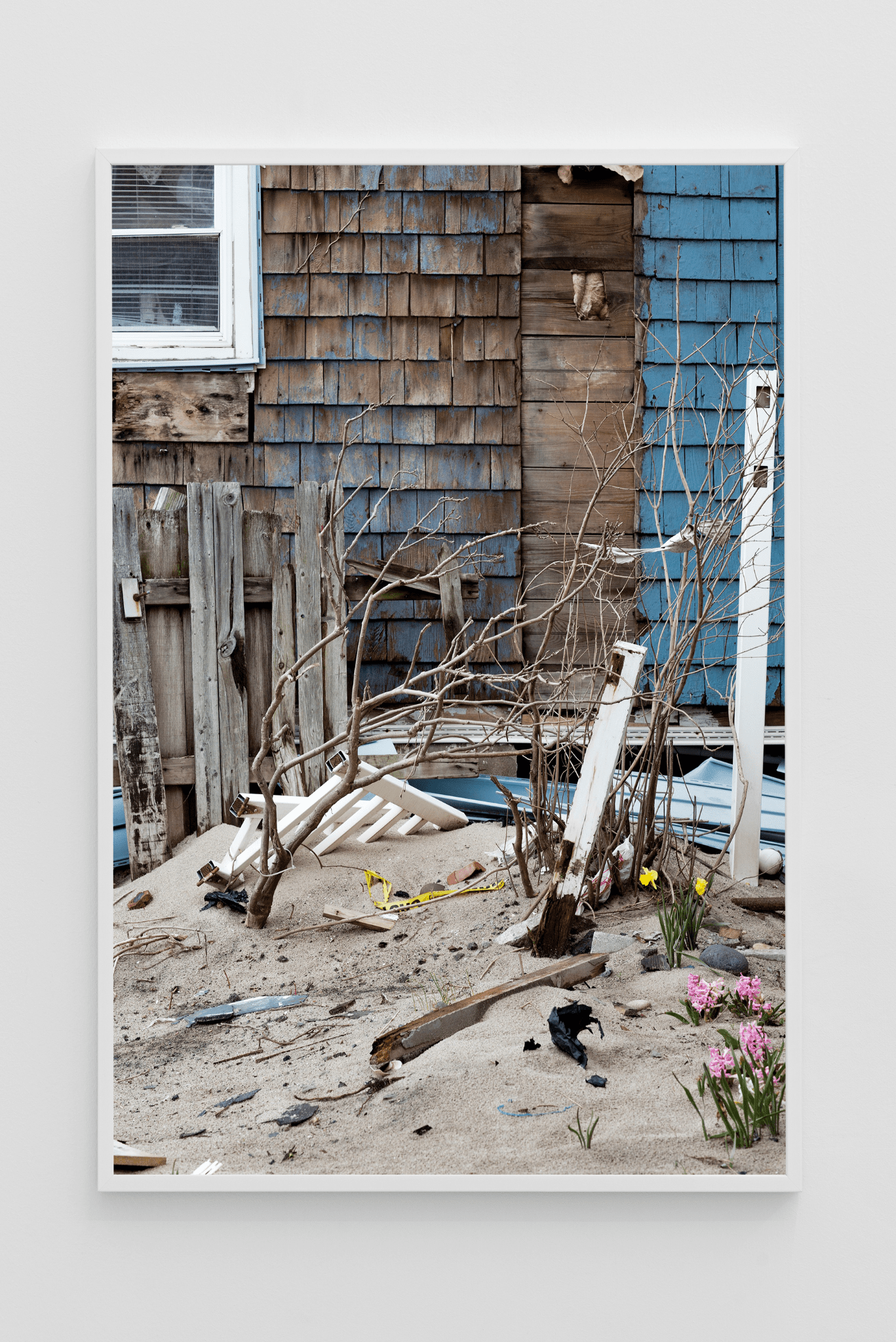 Roe Ethridge Backyard, Rockaway Beach, April 12 2013 C-print 125,7 x 83,8 cm Courtesy of the artist and Andrew Kreps Gallery, New York